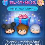 2019年9月セレクトボックス第1弾