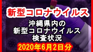 【2020年6月2日分】沖縄県内で実施されている新型コロナウイルスの検査状況について