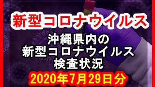 【2020年7月29日分】沖縄県内で実施されている新型コロナウイルスの検査状況について