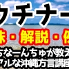 ウチナーンチュ の意味と解説 例文 うちなーんちゅが教えるリアルな沖縄方言 うちなーぐち 講座 ヒケナンブログ