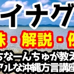 「イナグ」の意味と解説、例文！うちなーんちゅが教えるリアルな沖縄方言（うちなーぐち）講座！