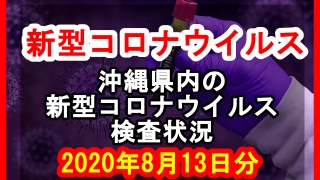 【2020年8月13日分】沖縄県内で実施されている新型コロナウイルスの検査状況について