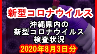 【2020年8月3日分】沖縄県内で実施されている新型コロナウイルスの検査状況について