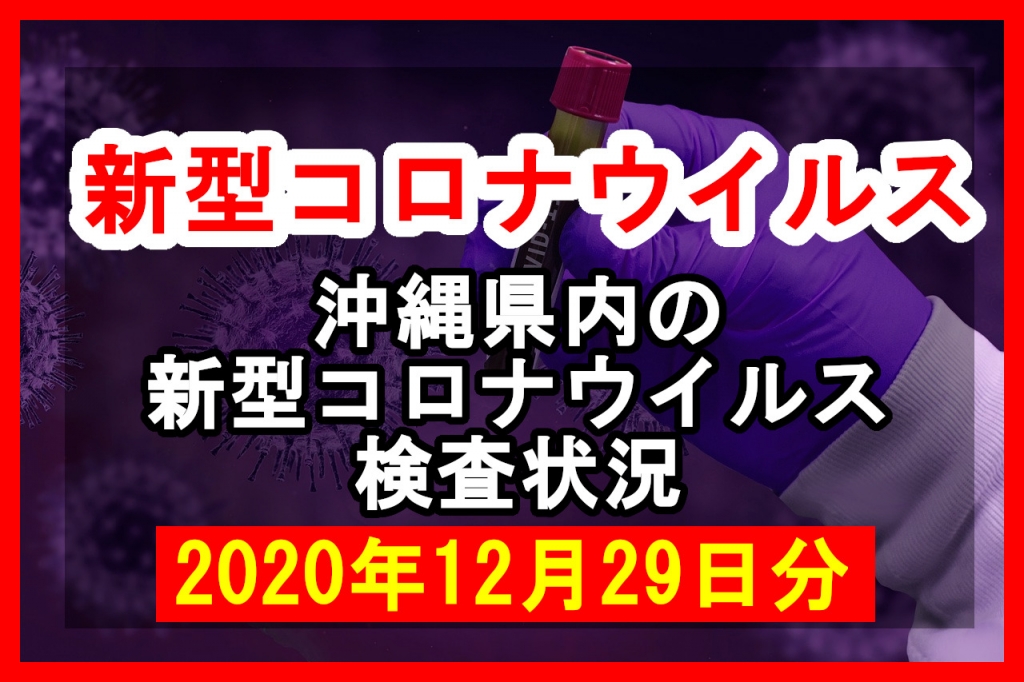 【2020年12月29日分】沖縄県内で実施されている新型コロナウイルスの検査状況について