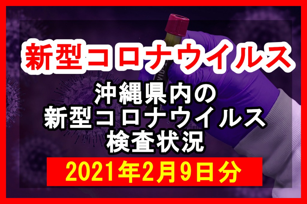 【2021年2月9日分】沖縄県内で実施されている新型コロナウイルスの検査状況について