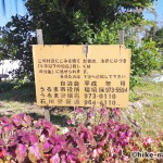 【2021年】うるま市の田場児童公園は広い広場と巨大コンクリート滑り台が楽しい！_注意事項2