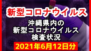 【2021年6月12日分】沖縄県内で実施されている新型コロナウイルスの検査状況について
