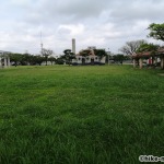 【2021年】連結型の巨大遊具が楽しすぎる！沖縄市の黒潮公園は広場と巨大遊具が魅力的な公園です！_広場2