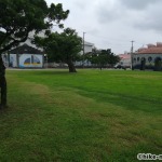 【2021年】連結型の巨大遊具が楽しすぎる！沖縄市の黒潮公園は広場と巨大遊具が魅力的な公園です！_広場4