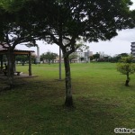 【2021年】連結型の巨大遊具が楽しすぎる！沖縄市の黒潮公園は広場と巨大遊具が魅力的な公園です！_広場6